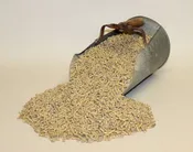 Bryant Grain 16% Hog Grower