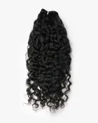 Burmese Curly