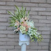 Sophia's Garden