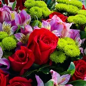 Designer's choice in vibrant colors