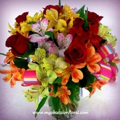 Brighten your day, MO104
