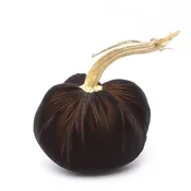Black Gold Silk Velvet Pumpkin