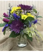 SPRING DELIGHT