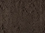 Enriched Topsoil