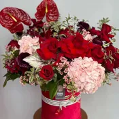Blushing Romance - Red Velvet Valentine Collection