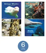 At the Aquarium Set 1
