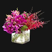 Orchid-mania