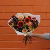 Fall Designer's Pick Bundle