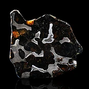 Authentic Brenham Pallasite Meteorite Slice - 24g Iron Nickel Matrix