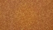 107/108" Copper 100% Cotton Blender - By The Yard