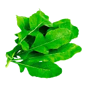 Astro Arugula