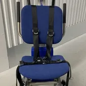 4-Point Harness