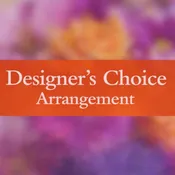 Designers Choice