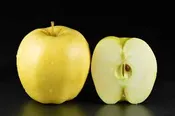 Apple 'Yellow Delicious' 3 gal