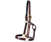 Quillin Track Halter