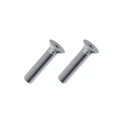 25mm Screws M8-T40