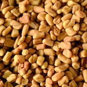 Fenugreek Seeds - Whole