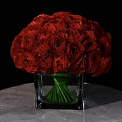 Japanese red ranunculus — MICHAEL GEORGE