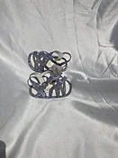 aby chicks silver blue