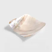 Mother-Of-Pearl Caviar Plate