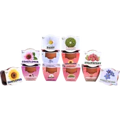 Classic Mini Terracotta Pots | Assorted (12 Pack)