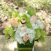 Opulent Orchids Bouquet