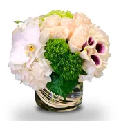 A Touch Of Picasso By Newport Florist NF304