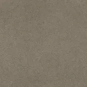 Ash Color Sample