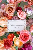 Gift Card to WildFlora