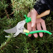 Greenmeadow Hand Pruner