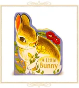 A Little Bunny Shaped Board Book