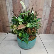 Dish Garden In Ceramic