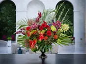 Brazil — Urban Botanica