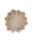 Beige Stoneware Flower Shaped Plate