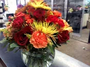 Autumn Radiance Blooms