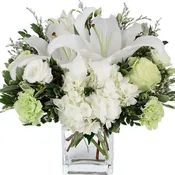 Ethereal arrangement
