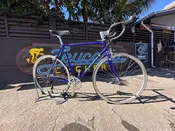 Bianchi Brava 55