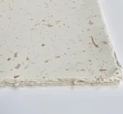 A Bit of Bark
