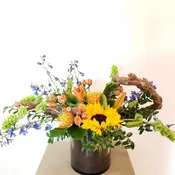 Organic spring