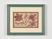 Vintage Double Matted and Framed Botanical Print "Floral Gouache on Paper" Europe-Wall Art Decor