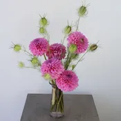 Dahlia Bud Vase