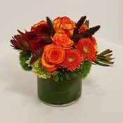 Autumn Sensation