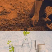 Basic Soil Test
