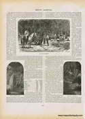 1890 - Coffee Gathering/Scene in the Andes/Tropical Scenery  - Antique Print