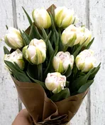Fresh Double Tulips – Blush 6 stem