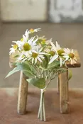 Bundle of Sun/White