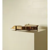 float tray — birdloft