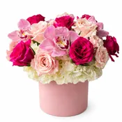 Pinkest of them All