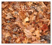 Autumn in the Woods