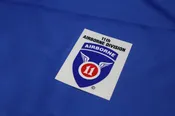 11th AIRBORNE DIVISION DECAL
